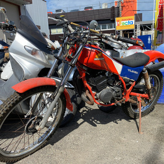TLM50 バイクの中古が安い！激安で譲ります・無料であげます(2ページ目