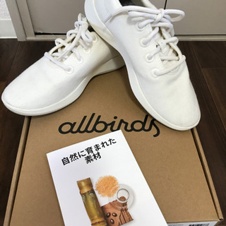 　allbirds  ウールランナー　25cm