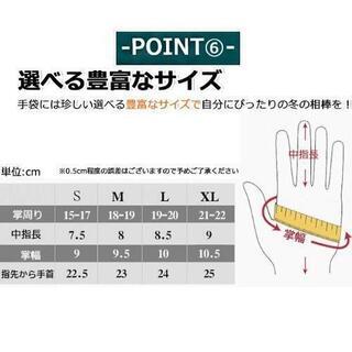 ②激安❗新品❗スマホ操作対応❢高級❢滑り止めスマホ操作対応❢防寒防風防水手袋❢フリースで凄く温かい手袋❢Lサイズの画像