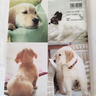 大好きな犬と暮らすの画像