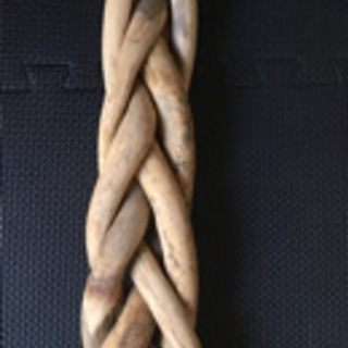 枯木　古木　流木　パキラ　観葉植物の画像