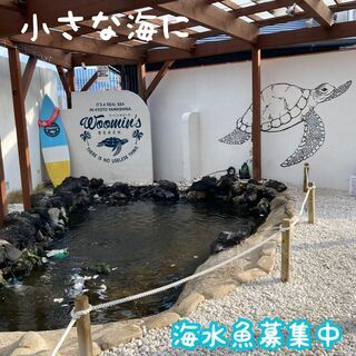 ★ 海水魚を譲って下さい ☆ お家で海水魚が飼えなくなってしまっ...