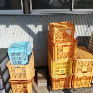 無料!採集コンテナ差し上げます