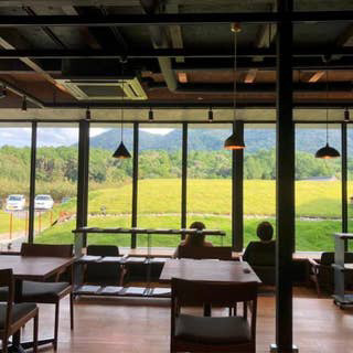 カフェめぐり友達🍰☕️orカメラ友達募集📷 − 三重県