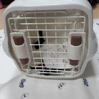 お値下げしました。ドライブペットキャリー　アイリスオーヤマの画像