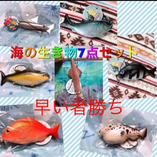 ぷにぷに鮮魚キーホルダー（今週まで‼️）