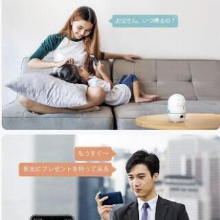 値下げ!!他サイトで売れそうです。カメラ《200万画素ネットワークカメラ》HeimVision HM203 動作確認済み値引可能の画像