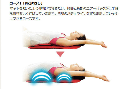 《ピュアスリム AIM-FN043 ダークブラウン》新品・未開封