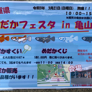 めだかフェスタIN亀山開催のお知らせ