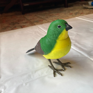 人間ミュージックバード