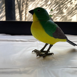 人間ミュージックバードの画像