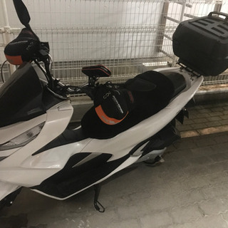 pcx150 初年度登録2019年11月