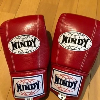 windy パンチンググローブ☆使用回数１回だけ