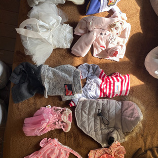 \超お買得/超小型犬用のお洋服