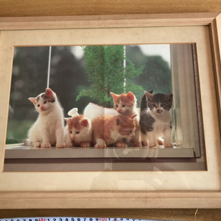 フォトフレーム★額縁★写真入れ★額★フジカラーの画像