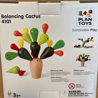 Balancing Cactus の画像