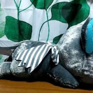 寝そべり グリムさん♪♪の画像