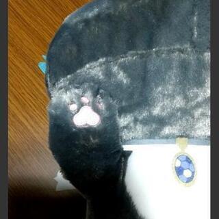 寝そべり グリムさん♪♪の画像