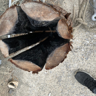 薪　スエーデントーチ　原木　キャンプに薪ストーブにどうですか？の画像