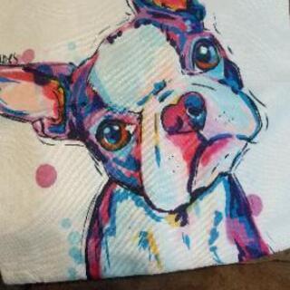 犬カラフルクッションカバーの画像