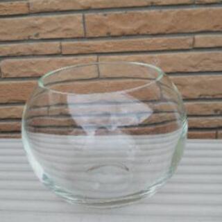 ガラスの金魚鉢