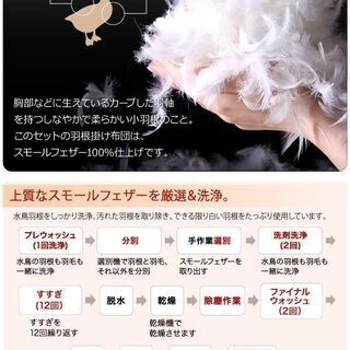 あんしん決済・分割払い可　シングル　スモールフェザー100％　ベッドタイプ　羽根布団８点セット　ピーチスキン仕様　数量限定の画像