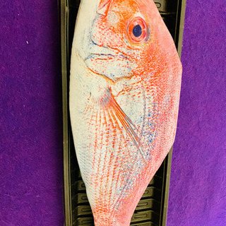 #大幅値下げセール#お魚（鯛）縁起物#ペンケース#ポーチ#面白いアイテム#の画像