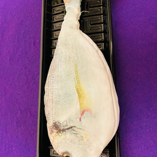 #お買い得#魚#ペンケース#ポーチ#小物入れ#面白い#アイテム#の画像