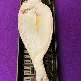 #お買い得#魚#ペンケース#ポーチ#小物入れ#面白い#アイテム#