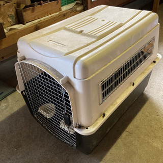 大型犬用移動ゲージ　決まりました