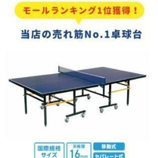 卓球台【国際規格サイズ】