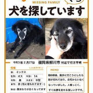 お願いします！