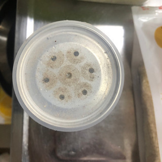 gabanブラックペッパーグラウンドの画像