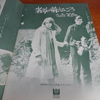 昭和44年 1969年3月19日劇場公開日　　映画パンフレット 　若草の萌えるころ　　 の画像