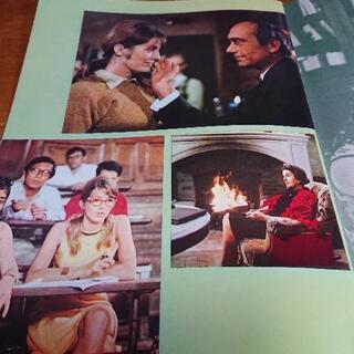 昭和44年 1969年3月19日劇場公開日　　映画パンフレット 　若草の萌えるころ　　 の画像