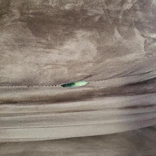 座椅子+クッションの画像