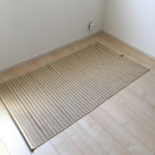 【超軽量】ビニール製すだれ（２枚）