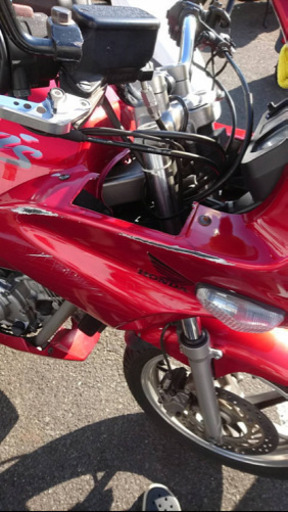 ゼルビス250