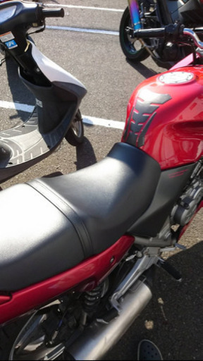 ゼルビス250