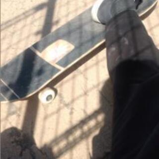 スケボー仲間募集