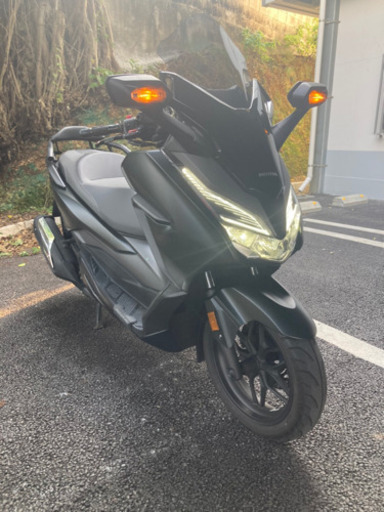 フォルツァ MF13