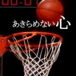 みんなでバスケしませんか - 京都市