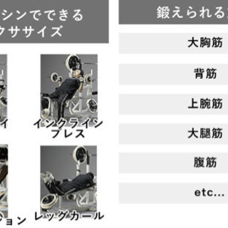 [WILD FIT ワイルドフィット] マルチベンチ トレーニングベンチの画像