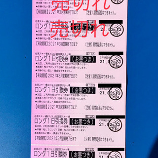 岩原スキー場か上越国際スキー場のロング１日リフト券をペアで🎿🏂