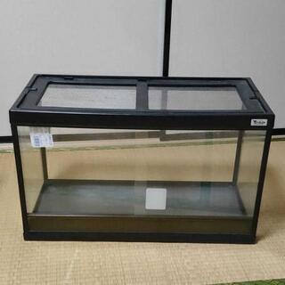 爬虫類ゲージ