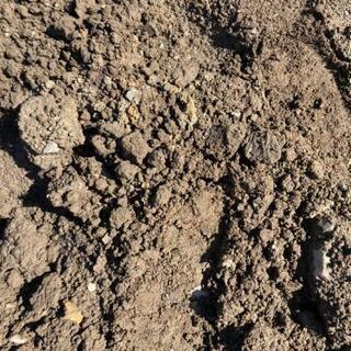 残土(畑土)無料で差し上げます。の画像