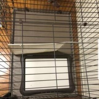 受渡し予定者決定【値下げ3月9日まで】ペット用品 犬 ゲージ 小屋の画像