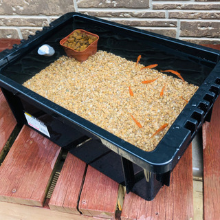 メダカ飼育ケース【麦飯石と赤玉土セット】
