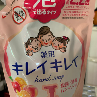 薬用キレイキレイ　泡の出るタイプ（詰替用）〜購入者決定〜