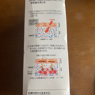 値下！☆新品☆キュレル Curel 皮脂トラブルトライアルキットの画像